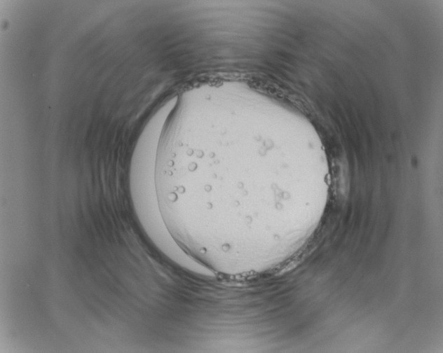 X0000064730712200603131253