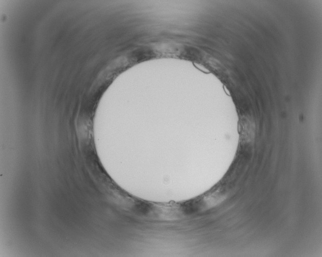 X0000064730713200603131253