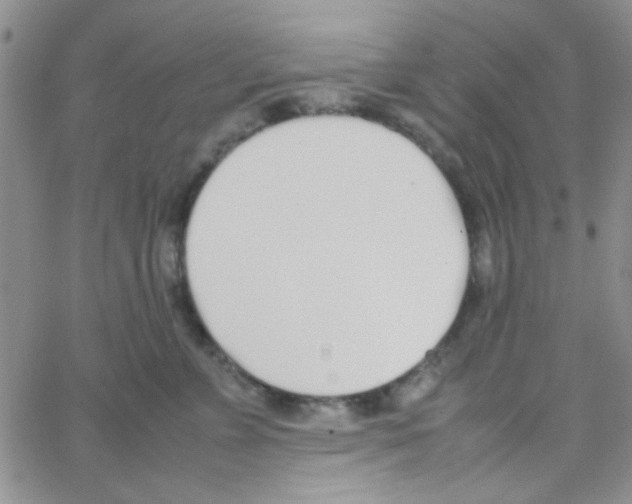 X0000064730715200603131253