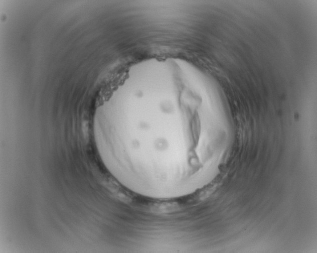 X0000064730716200603131253