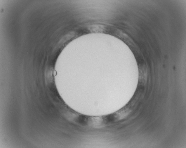 X0000064730717200603131253