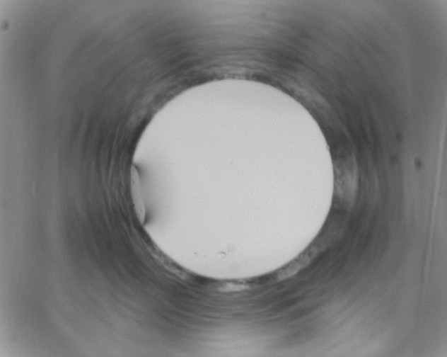 X0000064730718200603131253