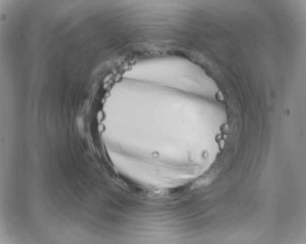 X0000064730720200603131253