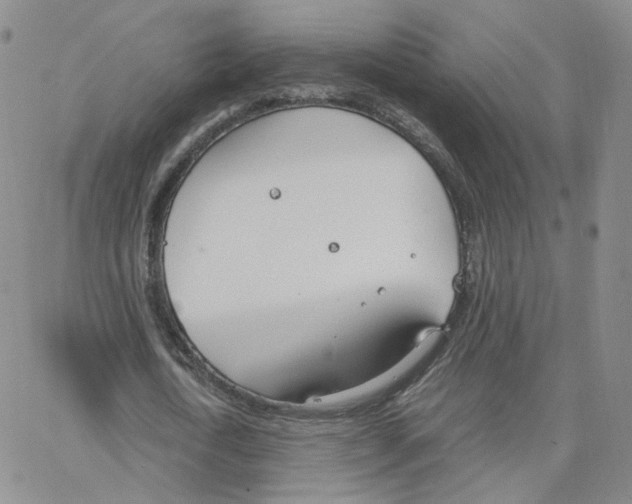 X0000064730722200603131252