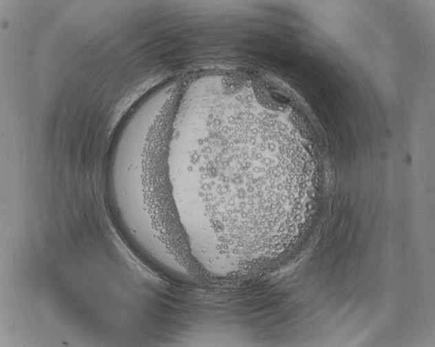 X0000064730725200603131252