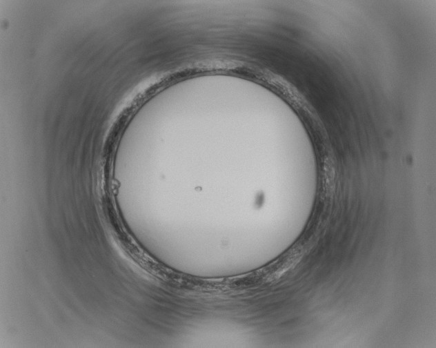 X0000064730726200603131252