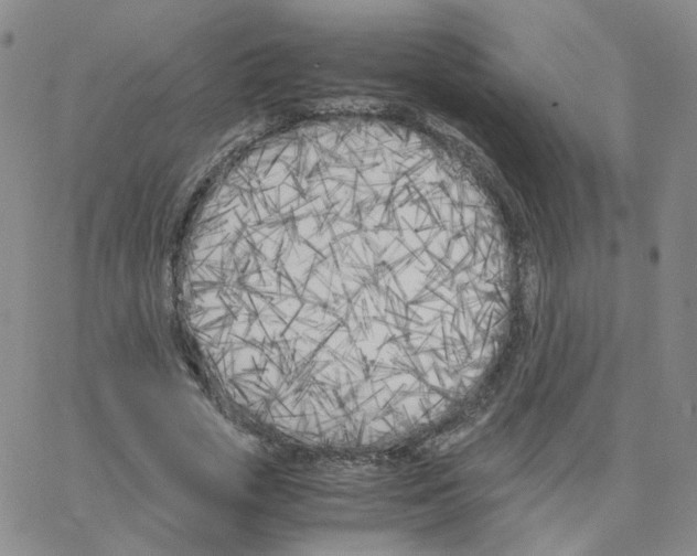 X0000064730729200603131252