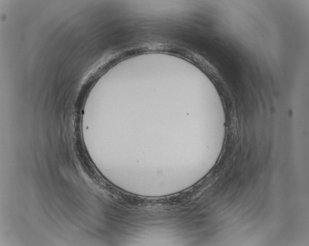 X0000064730730200603131252