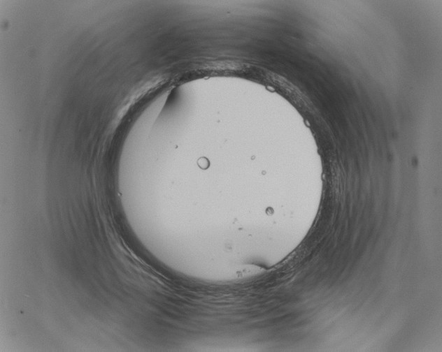 X0000064730731200603131252