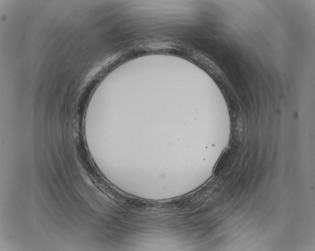 X0000064730732200603131252