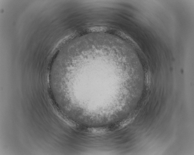 X0000064730733200603131252