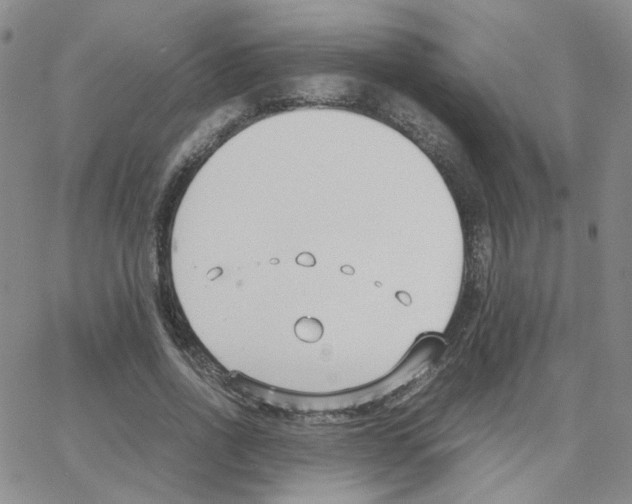 X0000064730734200603131252