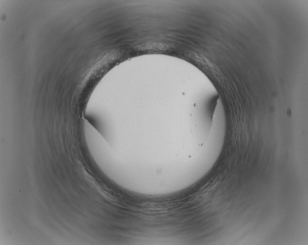 X0000064730735200603131252