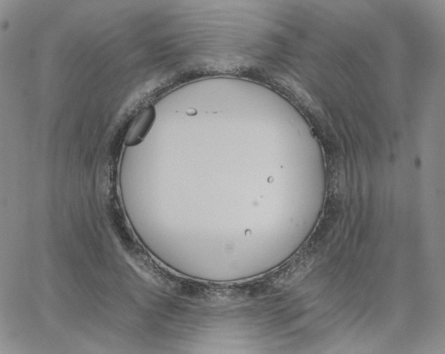 X0000064730736200603131252