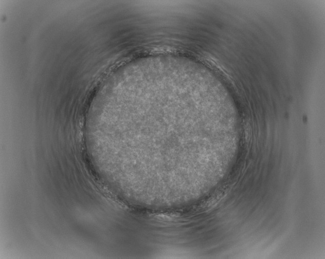 X0000064730737200603131252