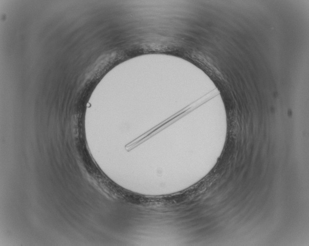 X0000064730738200603131252