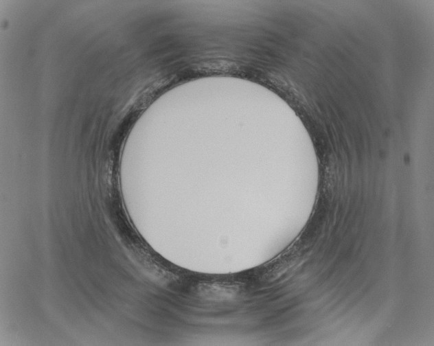 X0000064730739200603131253