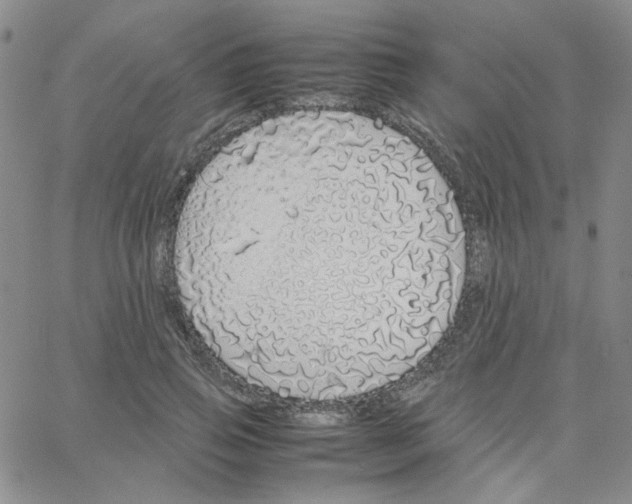 X0000064730741200603131253