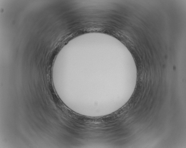 X0000064730743200603131253