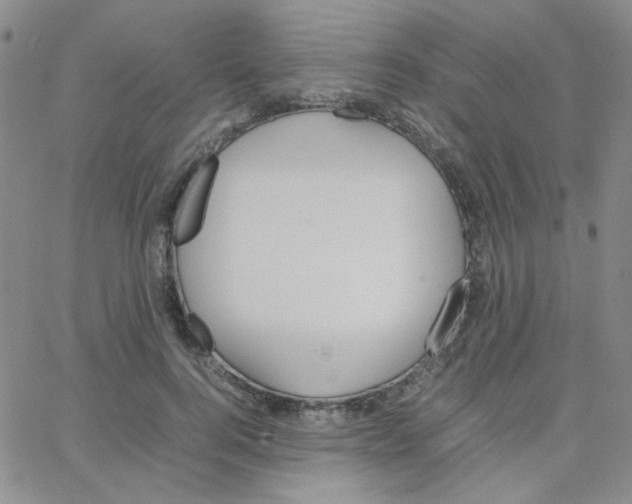 X0000064730744200603131253