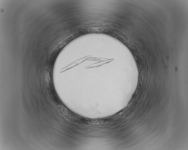 X0000064730746200603131253