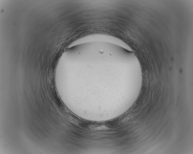 X0000064730747200603131253