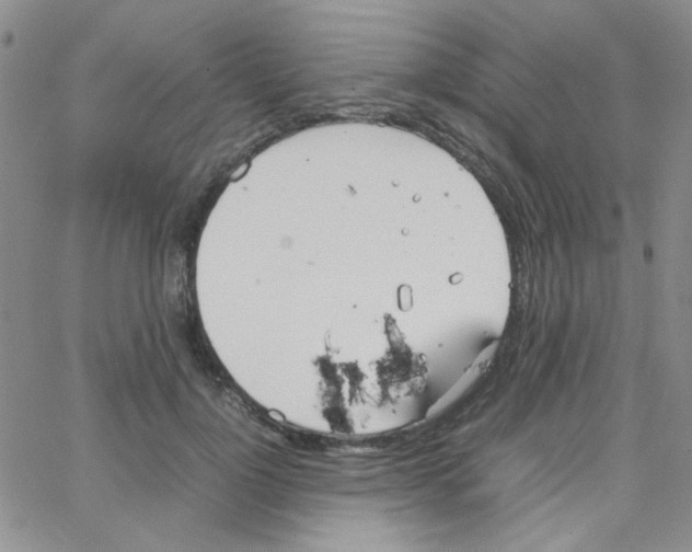 X0000064730748200603131253