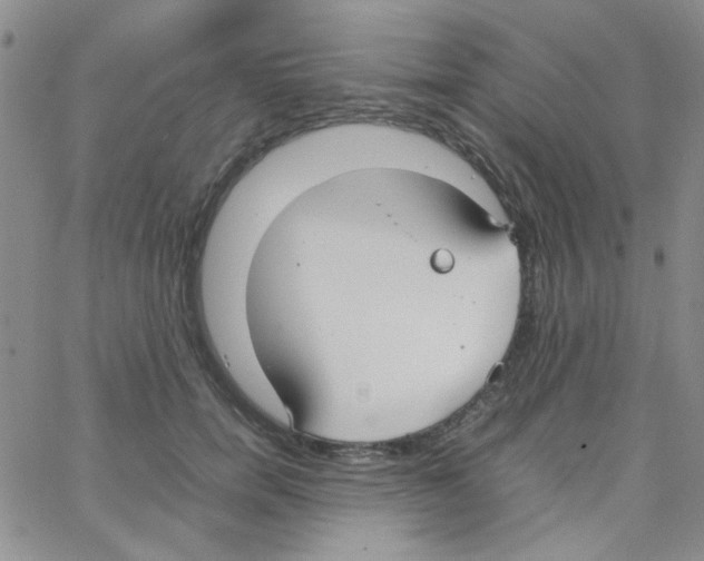 X0000064730750200603131253