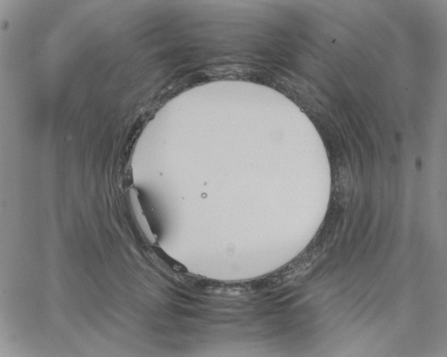 X0000064730751200603131253