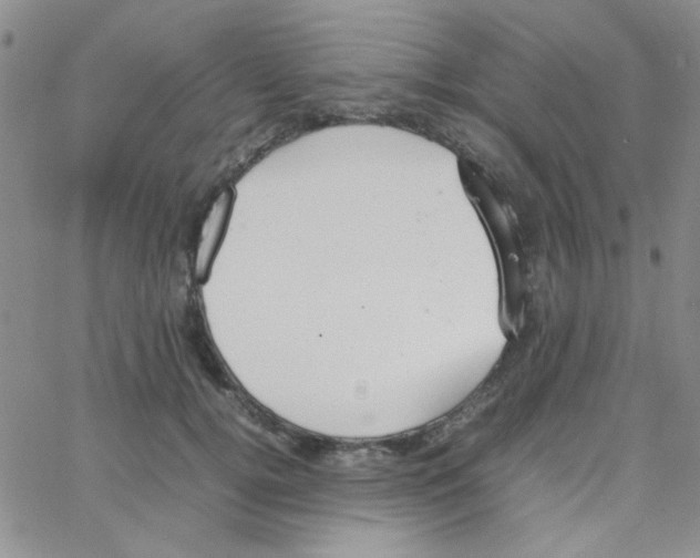 X0000064730752200603131253