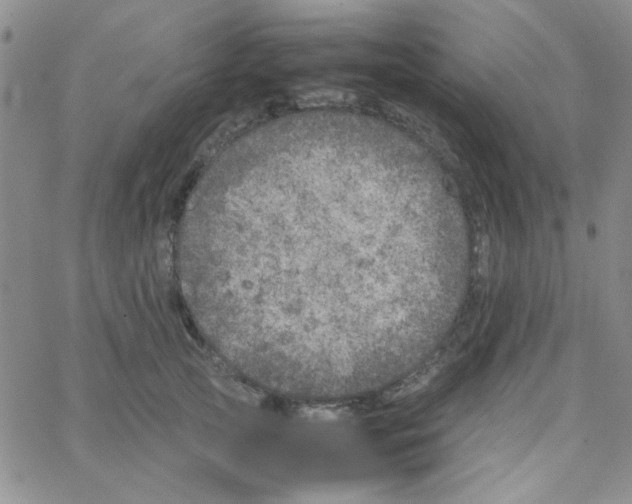 X0000064730753200603131253