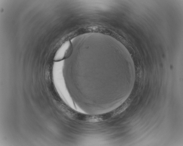 X0000064730754200603131253