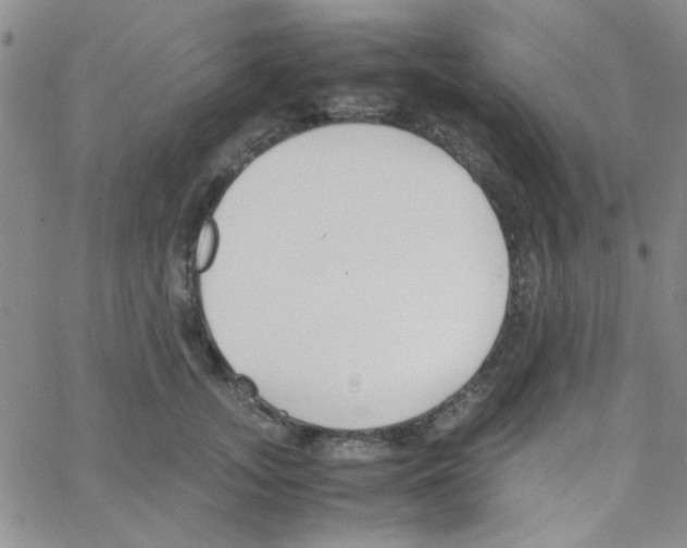 X0000064730755200603131253