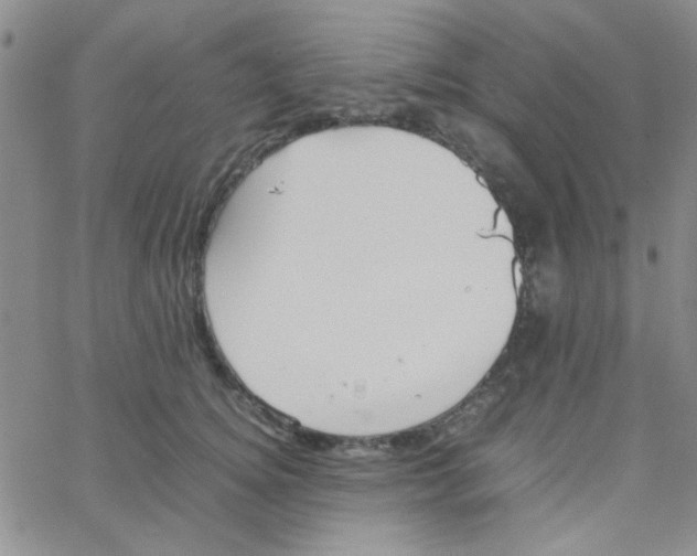 X0000064730756200603131253