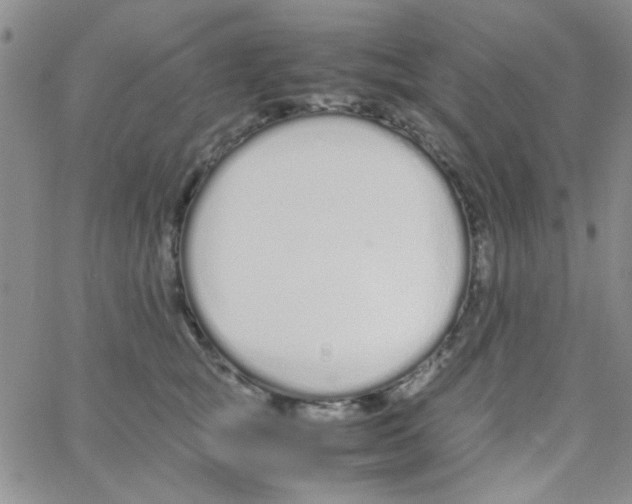 X0000064730757200603131253