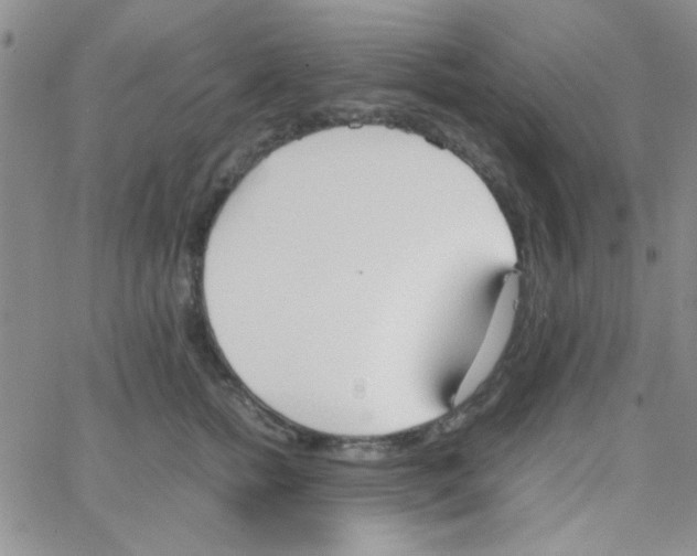 X0000064730758200603131253