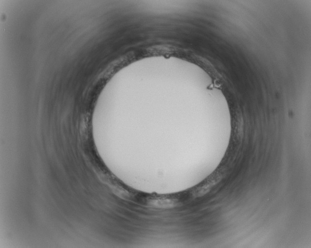 X0000064730759200603131253