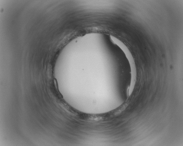 X0000064730760200603131253