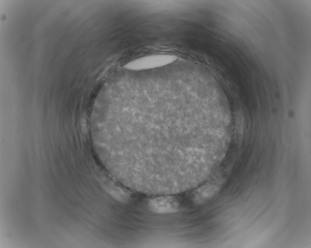 X0000064730761200603131253