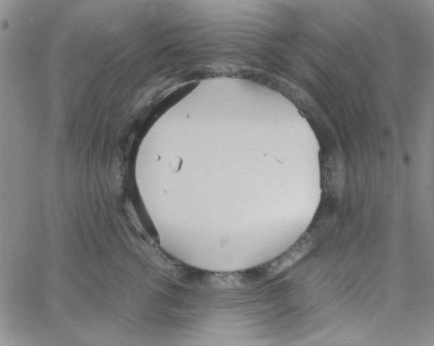 X0000064730762200603131253