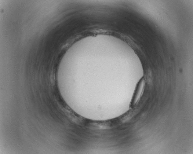 X0000064730763200603131253