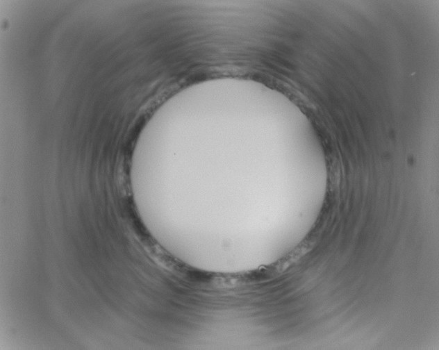 X0000064730764200603131253