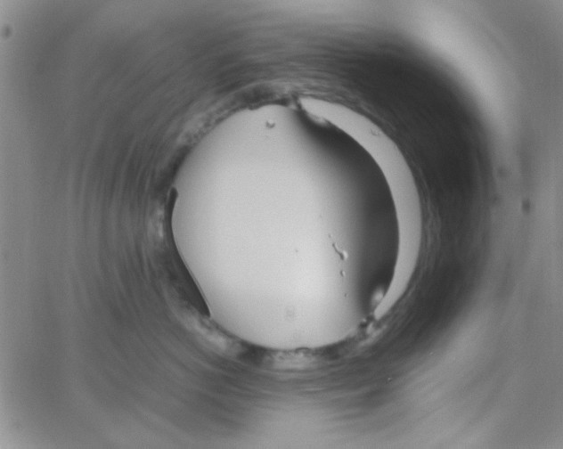 X0000064730766200603131253