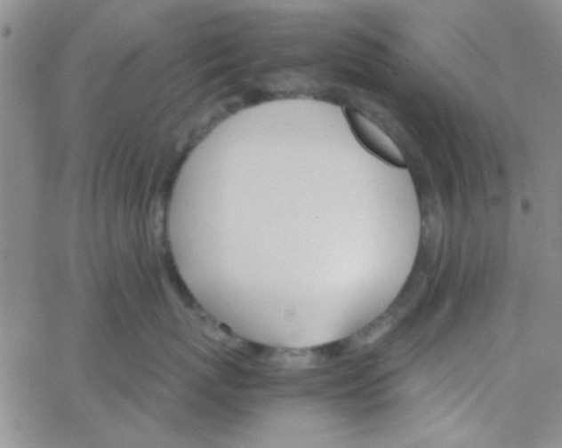 X0000064730767200603131253