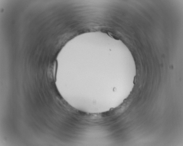 X0000064730768200603131253