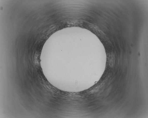 X0000064730770200603131252