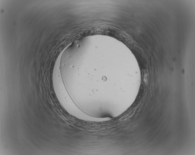 X0000064730771200603131252