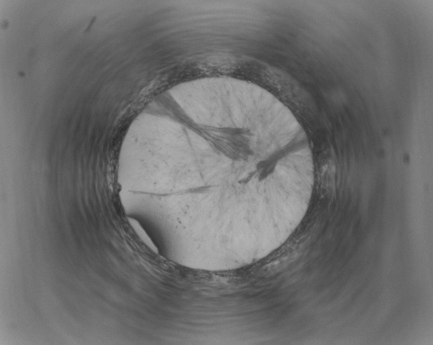 X0000064730772200603131252