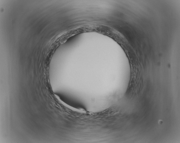 X0000064730773200603131252