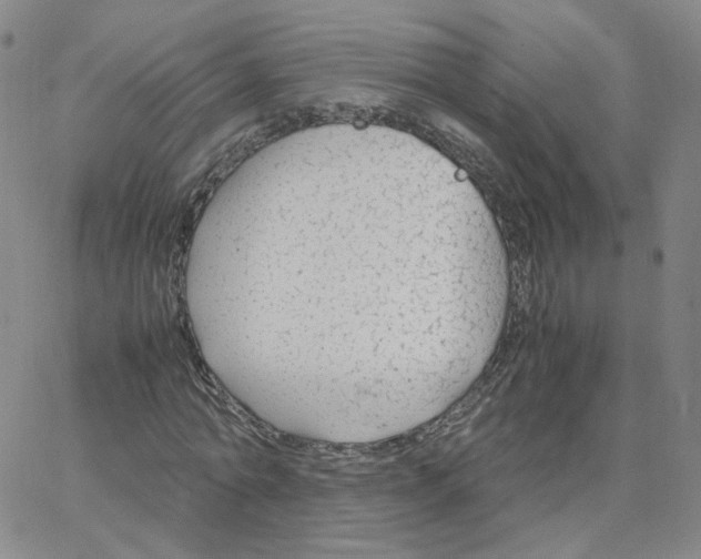 X0000064730774200603131252